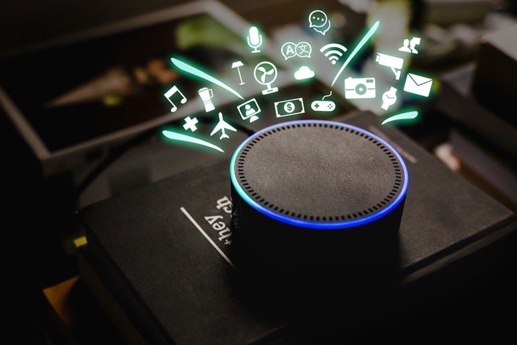 Smart Speaker: Voice Recognition of Everything
