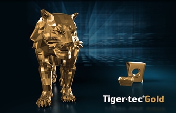 เม็ดมีด Walter รุ่น TIGER·TEC® GOLD